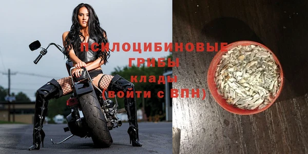 не бодяженный Аркадак