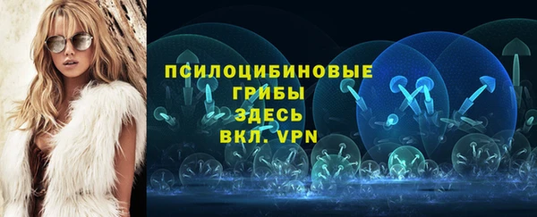 не бодяженный Аркадак
