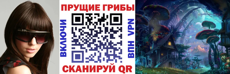 Галлюциногенные грибы Magic Shrooms  гидра ТОР  Бабаево 
